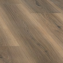 Tudor oak